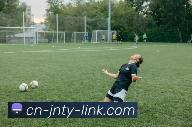 江南体育平台生态图