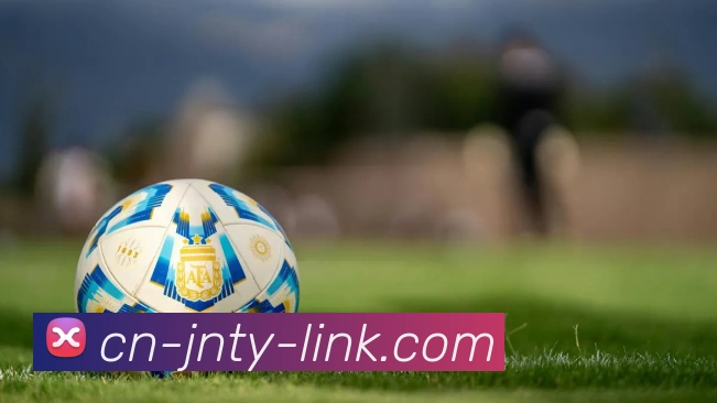 江南体育APP 封面图